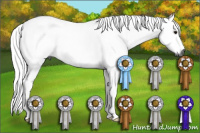 Horse Color:Gray Buckskin 