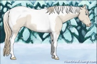 Horse Color:Smoky Creme Roan Tobiano 