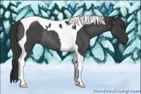 Horse Color:Blue Roan Tobiano Rabicano