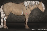 Horse Color:White Spotted Silver Grullo Splash  Brindle