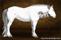 Horse Color:Grullo Sabino Splash Tobiano Rabicano