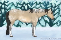 Horse Color:Buckskin Ice Roan Dun Tobiano