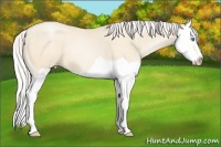 Horse Color:Silver Amber Cream Champagne Pearl Splash 