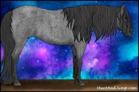 Horse Color:Smoky Blue Roan 
