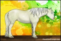 Horse Color:Watercolor Silver Classic Cream Champagne Pearl 