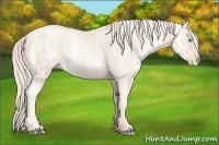 Horse Color:Gold Cream Champagne Ice Pearl 