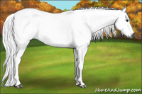 Horse Color:Gray Smoky Blue Roan Tobiano 