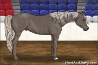 Horse Color:Silver Black 
