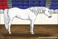 Horse Color:Gray Black 