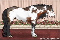 Horse Color:Brown Frame 