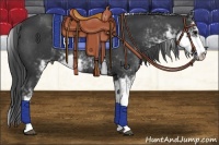 Horse Color:Black Sabino Rabicano 