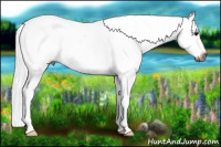 Horse Color:Gray White Spotted Bay Dun Splash Frame Appaloosa 