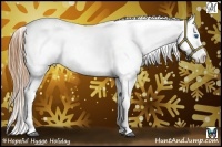 Horse Color:White Spotted Buckskin Splash Appaloosa 
