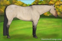 Horse Color:Bay Roan Dun Frame 