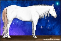 Horse Color:Sable Champagne Roan Dun Tobiano Appaloosa
