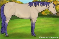 Horse Color:Watercolor Bay Dun 