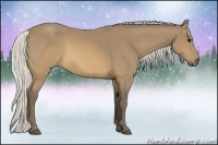 Horse Color:Silver Buckskin 