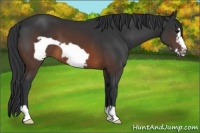 Horse Color:Brown Frame 