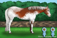 Horse Color:White Spotted Silver Brown Sabino 