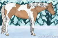 Horse Color:Silver Buckskin Tobiano 
