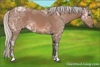 Horse Color:Silver Bay Ice 