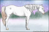 Horse Color:White Spotted Buckskin Pearl Tobiano Frame Blanket