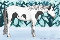 Horse Color:Smoky Black Splash Tobiano