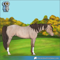 Horse Color:Sable Champagne Roan
