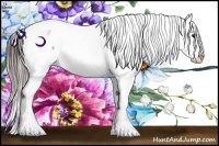 Horse Color:Brown Appaloosa Rabicano 