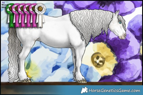 Horse Color:Buckskin Splash Appaloosa  Brindle