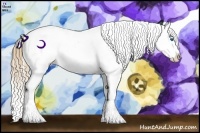 Horse Color:Buckskin Splash Appaloosa  Brindle