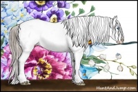 Horse Color:Chocolate Palomino Splash Appaloosa