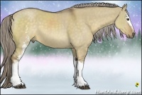 Horse Color:White Spotted Chocolate Palomino Dun
