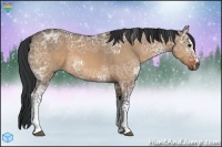 Horse Color:White Spotted Bay Ice Dun Sabino 