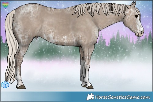 Horse Color:White Spotted Silver Grullo Ice 