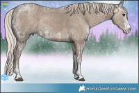Horse Color:White Spotted Silver Grullo Ice 