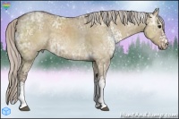 Horse Color:White Spotted Silver Grullo Ice 