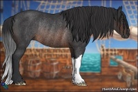 Horse Color:Brown Rabicano 