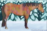 Horse Color:Nacre Bay  Brindle