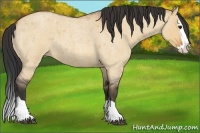 Horse Color:Bay Roan Dun Splash