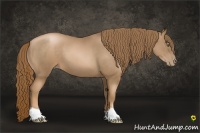 Horse Color:Liver Chestnut Pearl 