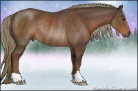Horse Color:Liver Chestnut Rabicano 