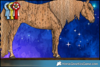 Horse Color:Chocolate Palomino Mushroom Sabino  Brindle