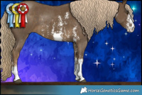 Horse Color:Chocolate Palomino Mushroom Sabino  Brindle