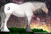 Horse Color:Brown Ice Roan Appaloosa Rabicano