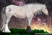 Horse Color:Bay Ice Roan Appaloosa 