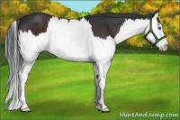 Horse Color:Brown Splash