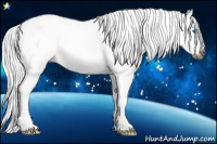 Horse Color:Gray White Spotted Bay Splash Rabicano 