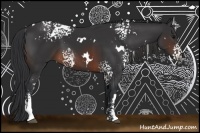 Horse Color:White Spotted Brown Rabicano 