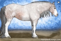 Horse Color:White Spotted Bay Roan 